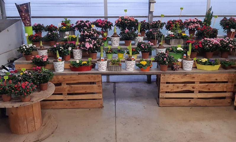 Fleuristes à proximité de Neydens