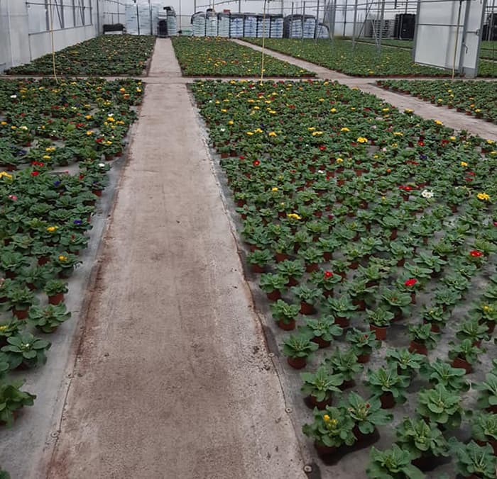 Pépiniéristes Saint-Julien-en-Genevois